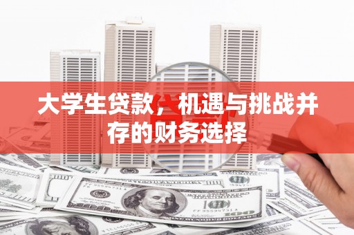禄丰大学生贷款，机遇与挑战并存的财务选择