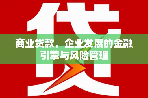 禄丰商业贷款，企业发展的金融引擎与风险管理