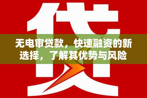 禄丰无电审贷款，快速融资的新选择，了解其优势与风险