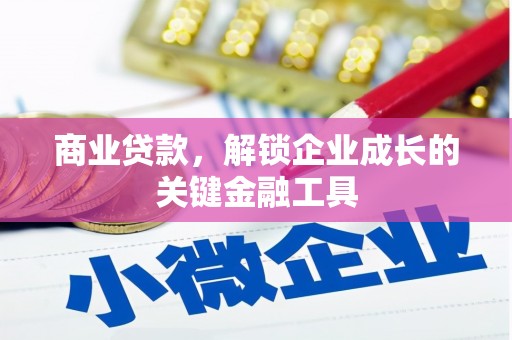 禄丰商业贷款，解锁企业成长的关键金融工具