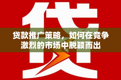 禄丰贷款推广策略，如何在竞争激烈的市场中脱颖而出