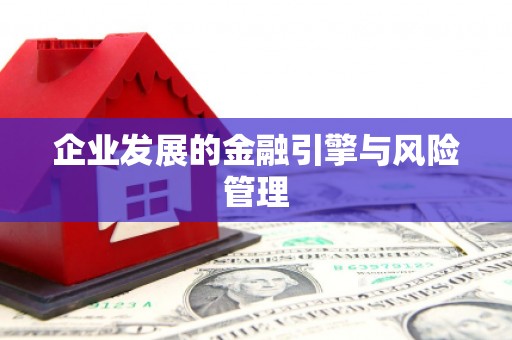 禄丰企业发展的金融引擎与风险管理