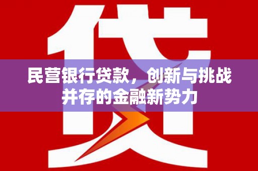 禄丰民营银行贷款，创新与挑战并存的金融新势力
