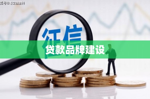 禄丰贷款品牌建设