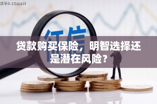 禄丰贷款购买保险，明智选择还是潜在风险？