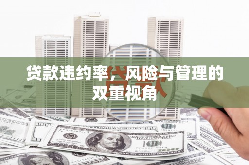 禄丰贷款违约率，风险与管理的双重视角