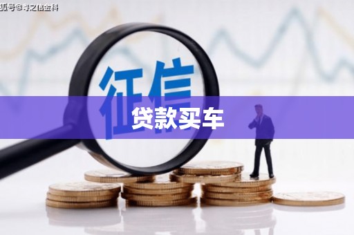 禄丰贷款买车
