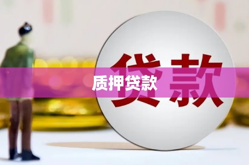 禄丰质押贷款