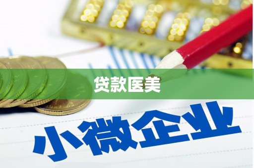 禄丰贷款医美