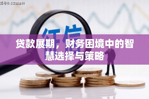 禄丰贷款展期，财务困境中的智慧选择与策略