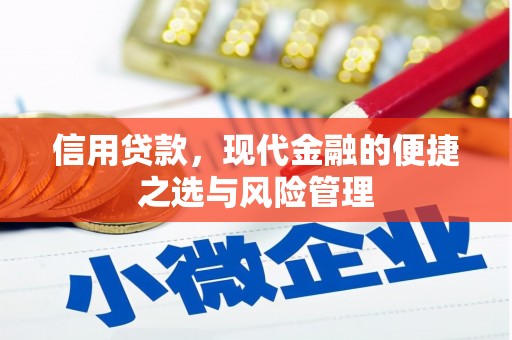 禄丰信用贷款，现代金融的便捷之选与风险管理