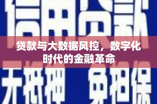禄丰贷款与大数据风控，数字化时代的金融革命