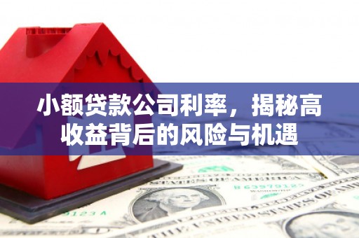 禄丰小额贷款公司利率，揭秘高收益背后的风险与机遇
