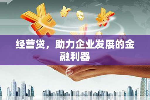 禄丰经营贷，助力企业发展的金融利器