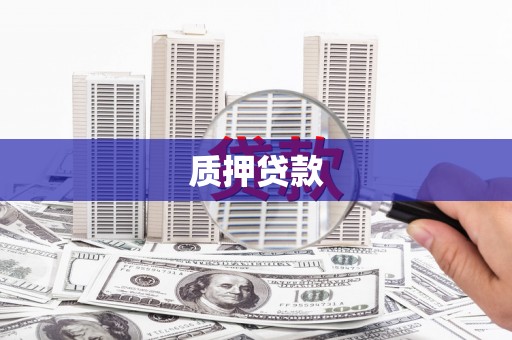 禄丰质押贷款