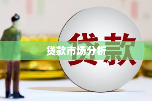 禄丰贷款市场分析