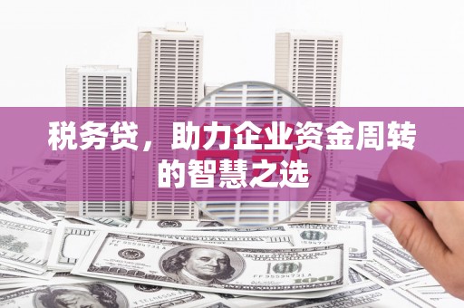 禄丰税务贷，助力企业资金周转的智慧之选