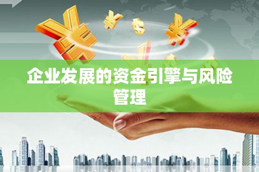 禄丰企业发展的资金引擎与风险管理