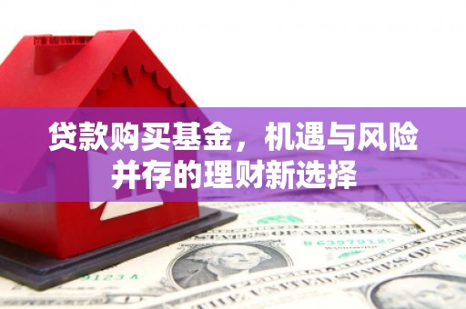 禄丰贷款购买基金，机遇与风险并存的理财新选择