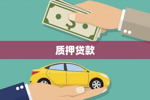 禄丰质押贷款