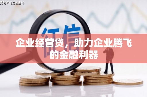 禄丰企业经营贷，助力企业腾飞的金融利器