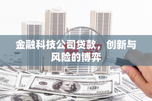 禄丰金融科技公司贷款，创新与风险的博弈