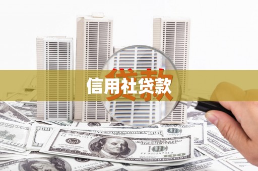 禄丰信用社贷款
