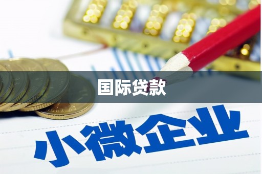 禄丰国际贷款