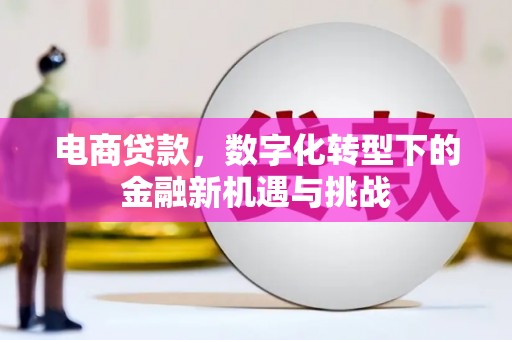 禄丰电商贷款，数字化转型下的金融新机遇与挑战