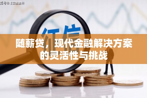 禄丰随薪贷，现代金融解决方案的灵活性与挑战