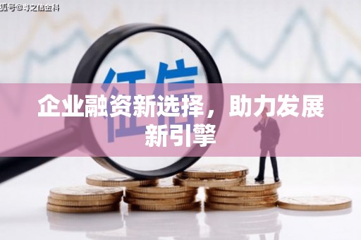 禄丰企业融资新选择，助力发展新引擎