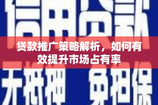禄丰贷款推广策略解析，如何有效提升市场占有率