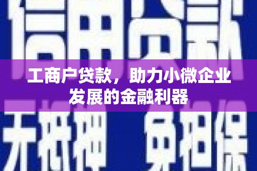 禄丰工商户贷款，助力小微企业发展的金融利器