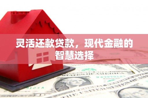 禄丰灵活还款贷款，现代金融的智慧选择