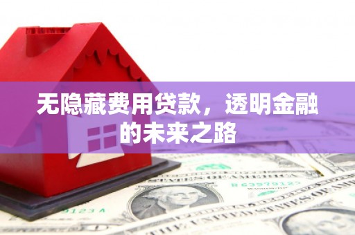 禄丰无隐藏费用贷款，透明金融的未来之路