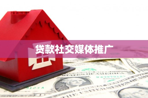 禄丰贷款社交媒体推广
