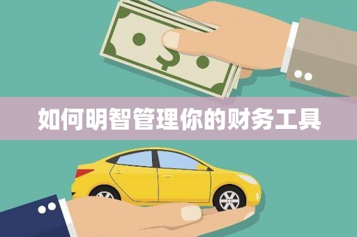 禄丰如何明智管理你的财务工具