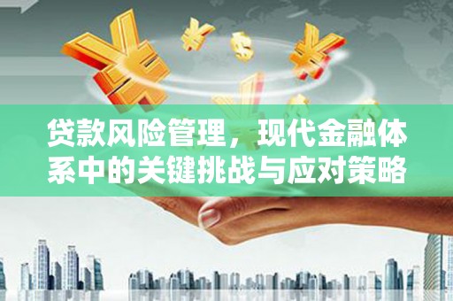 禄丰贷款风险管理，现代金融体系中的关键挑战与应对策略
