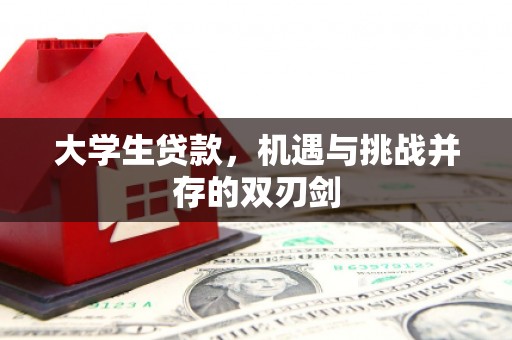 禄丰大学生贷款，机遇与挑战并存的双刃剑