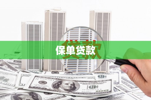 禄丰保单贷款