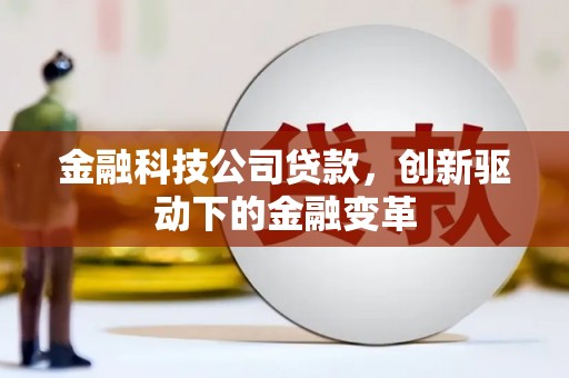 禄丰金融科技公司贷款，创新驱动下的金融变革
