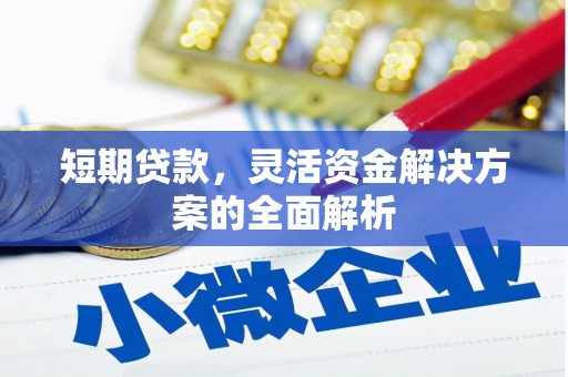禄丰短期贷款，灵活资金解决方案的全面解析