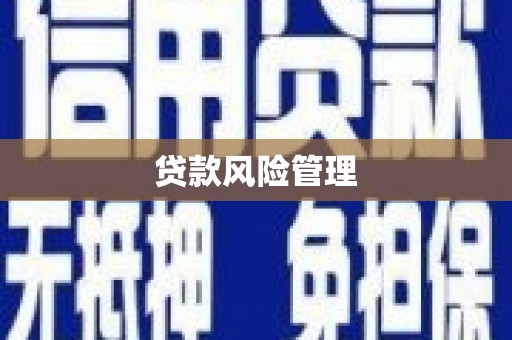 禄丰贷款风险管理