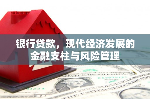 禄丰银行贷款，现代经济发展的金融支柱与风险管理