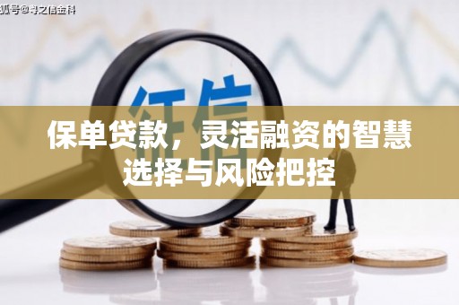 禄丰保单贷款，灵活融资的智慧选择与风险把控