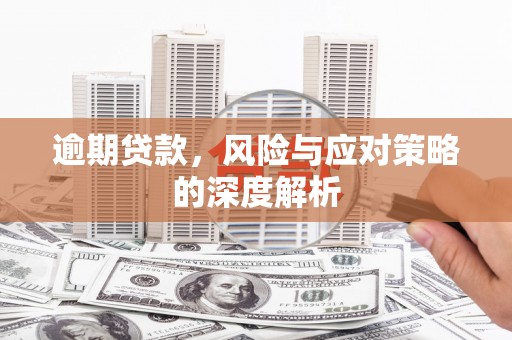 禄丰逾期贷款，风险与应对策略的深度解析