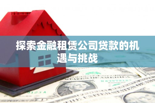 禄丰探索金融租赁公司贷款的机遇与挑战