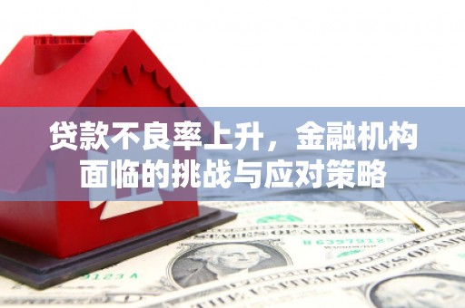 禄丰贷款不良率上升，金融机构面临的挑战与应对策略