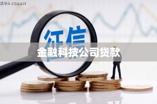 禄丰金融科技公司贷款