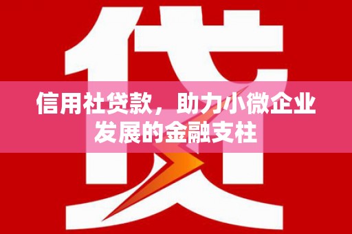 禄丰信用社贷款，助力小微企业发展的金融支柱